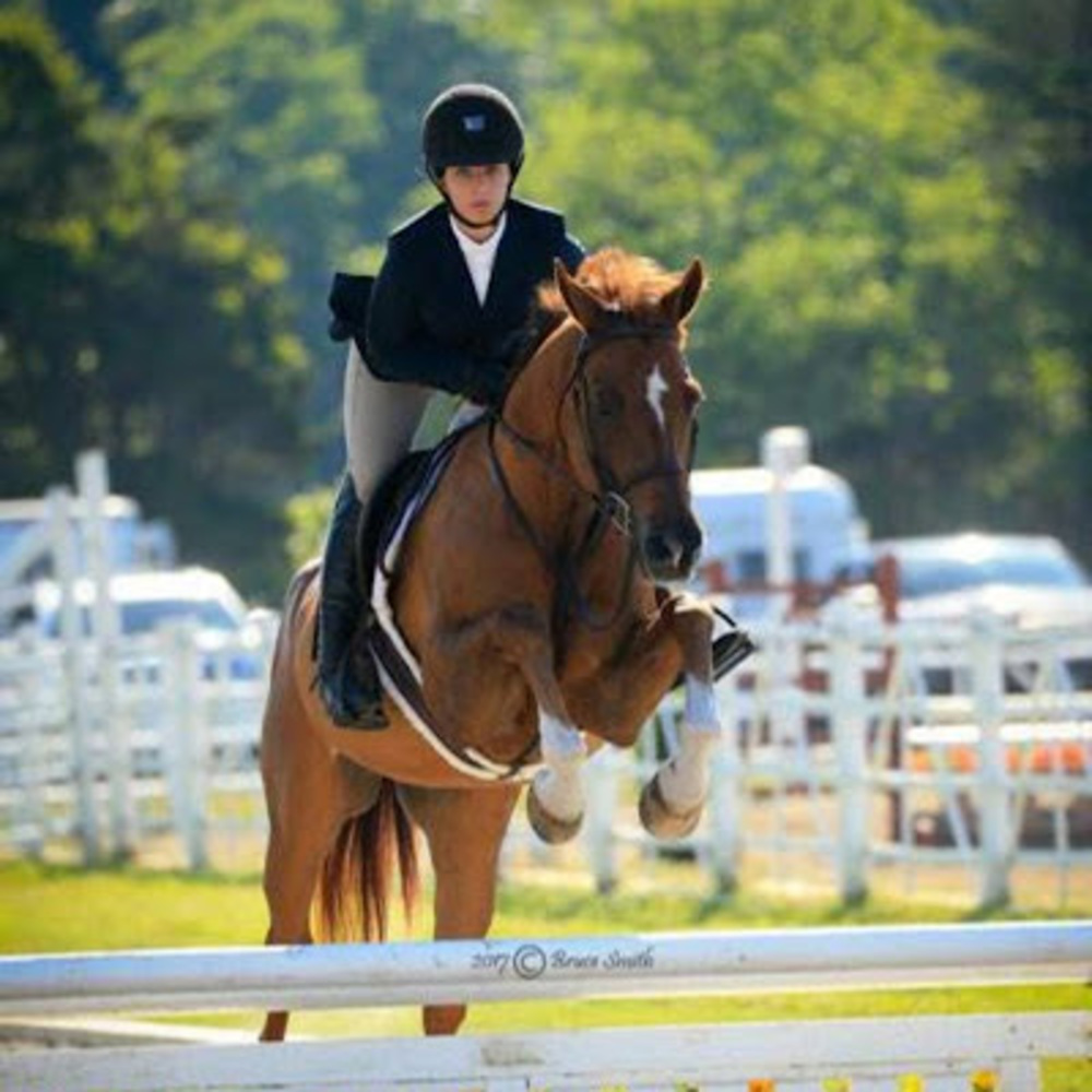 Meet your Posher, Gabrielle